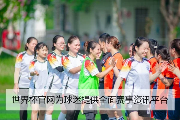 世界杯官网为球迷提供全面赛事资讯平台