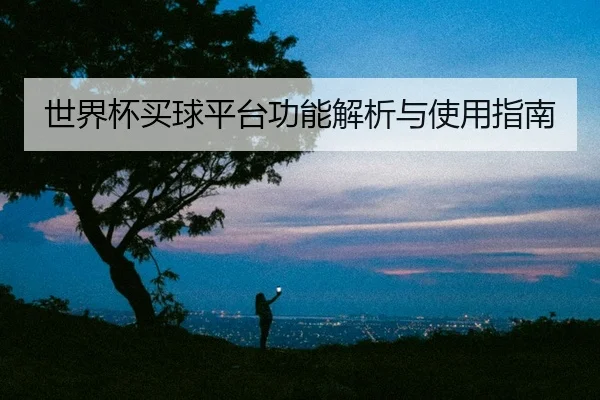 世界杯买球平台功能解析与使用指南