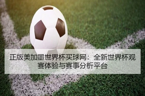 正版美加墨世界杯买球网：全新世界杯观赛体验与赛事分析平台